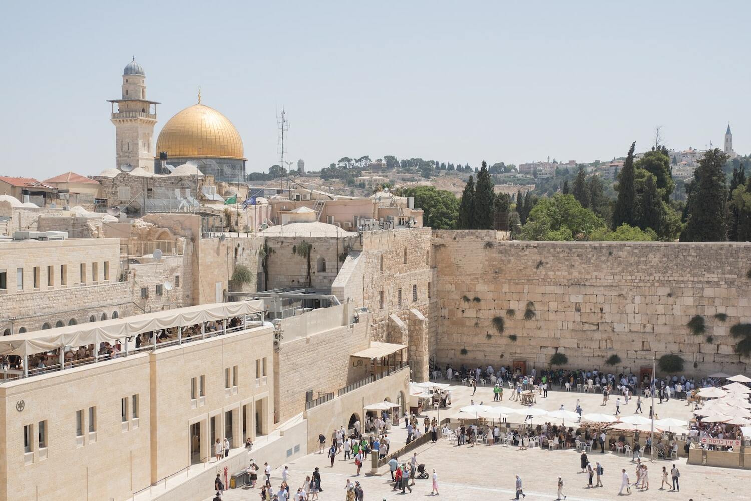 <span style="font-weight: bold;">The history of the Jewish people</span><br>