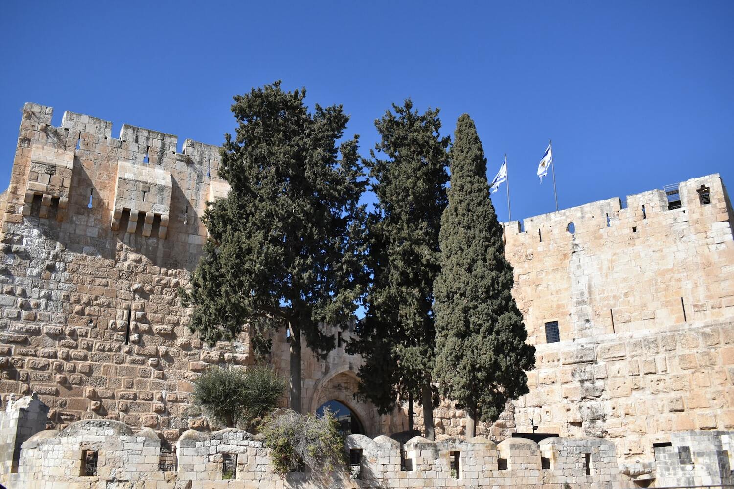 <span style="font-weight: bold;">King David</span><br>
